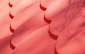 Lingwood plastic roof costs